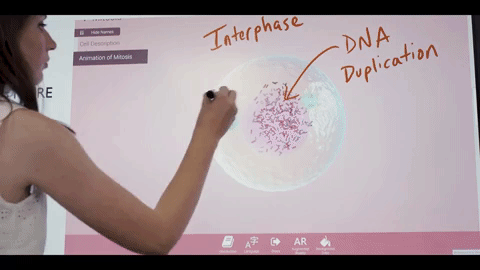 How Windows Ink and ScreenBeam Create Interactive Classrooms